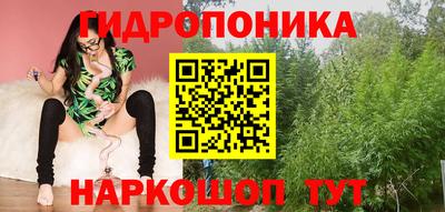 PSILOCYBIN Ирбит