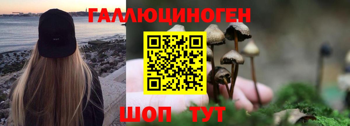 Киселёвск  Псилоцибиновые грибы мухоморы  Вход с VPN 